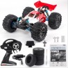 XLF F16 1/14 RC Car RTR